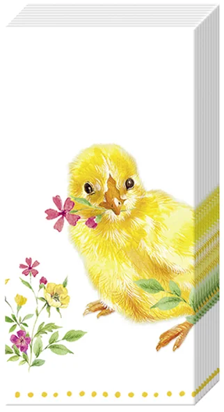 Ihr Tissues lommetørkle papir Chicks 10stk