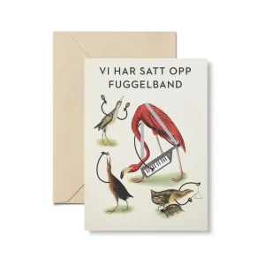 Vi har satt opp fuggelband - Julekort fra Higren